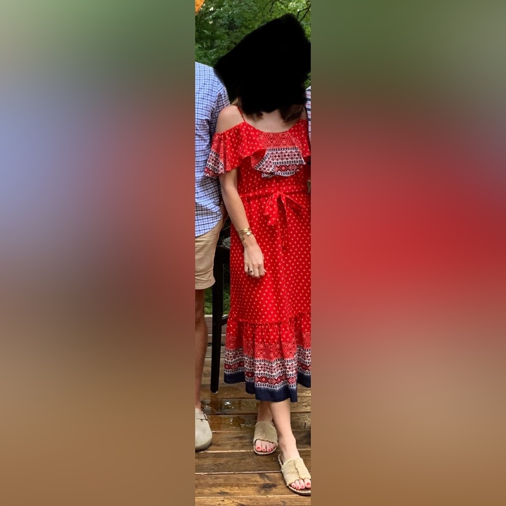 Misa Los Angeles Maxi Dress